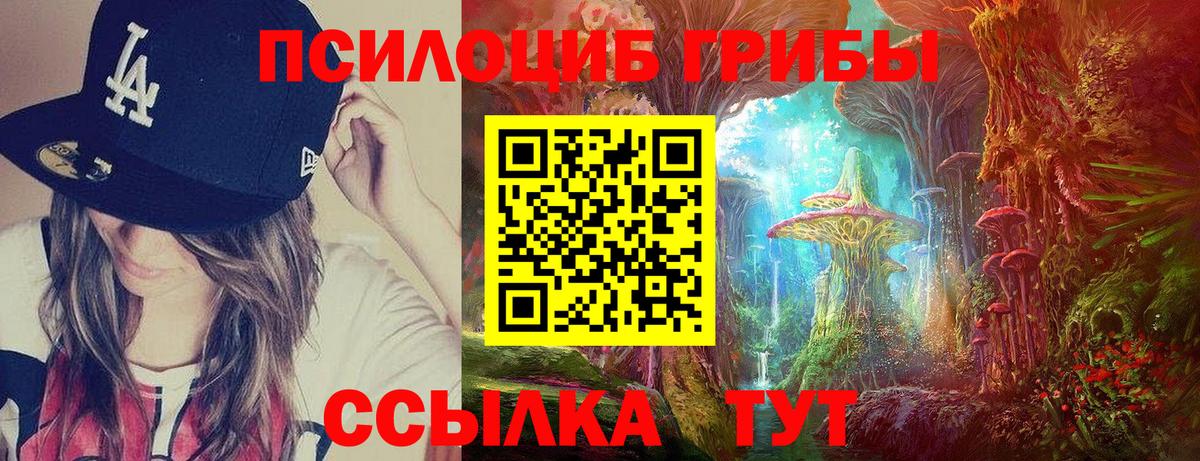 Галлюциногенные грибы Magic Shrooms  Вход с VPN  Корсаков 
