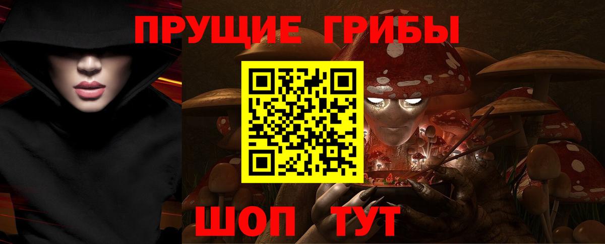 Псилоцибиновые грибы Psilocybine cubensis Корсаков